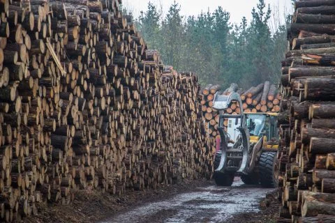 Image of an industry