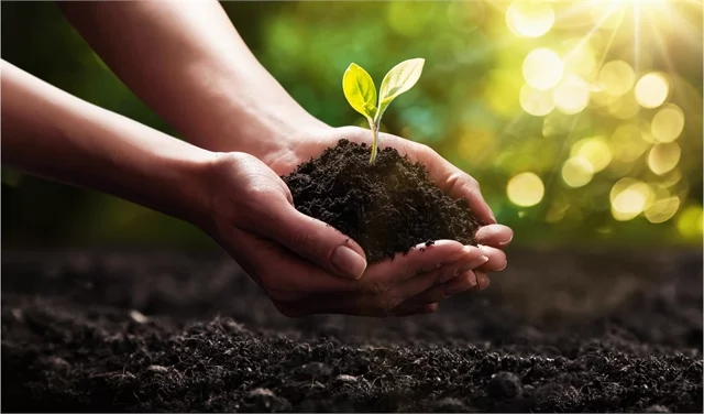 SUPPORTING REFORESTATION-1