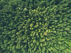 john-o-nolan-uMWPrcRsrto-unsplash-720x540