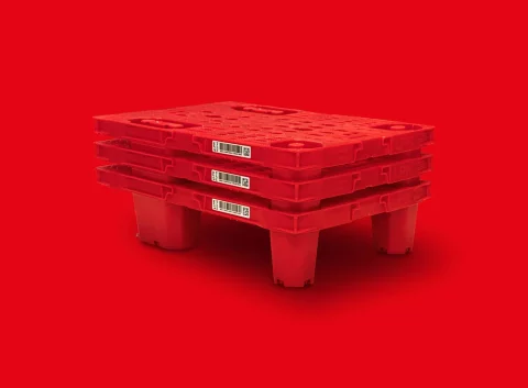 Display pallet 400 x 600 - 2