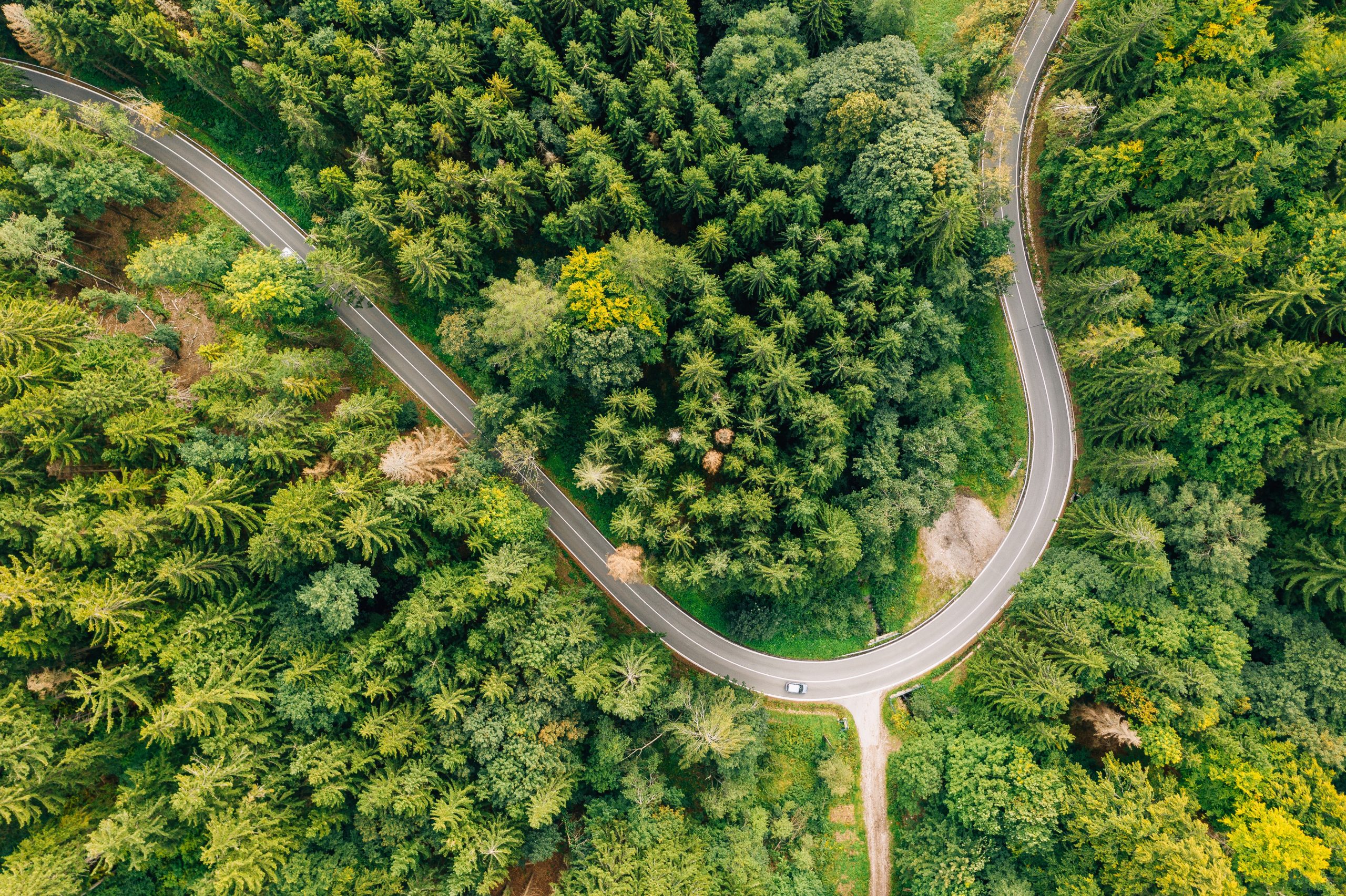 marcin-jozwiak-8tKZFUjC99c-unsplash